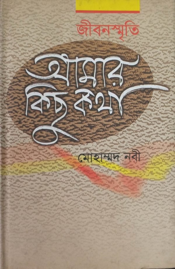 জীবনস্মৃতি-আমার কিছু কথা